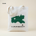 Limerick | The Treaty County Carry-All | Irish Designed Bag